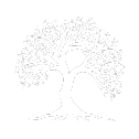 Trees Planted