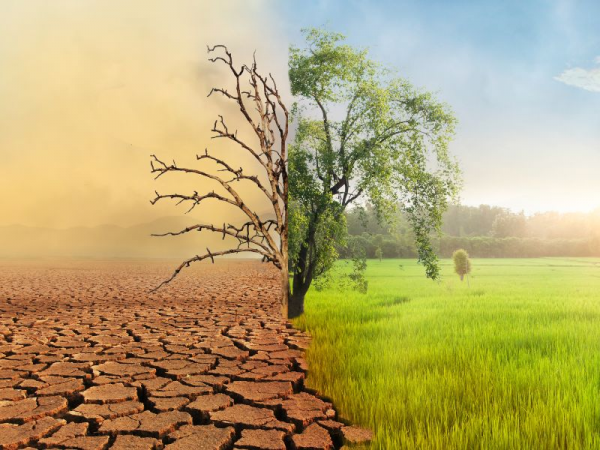 Climate Change Program: Harit Bhavishya
